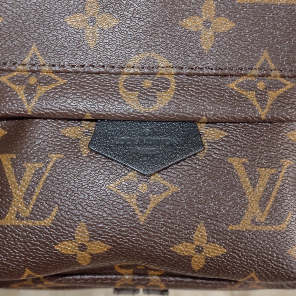 ✖️SOLD Louis Vuitton Palm Springs Mini Backpack - Picture 8 of 8
